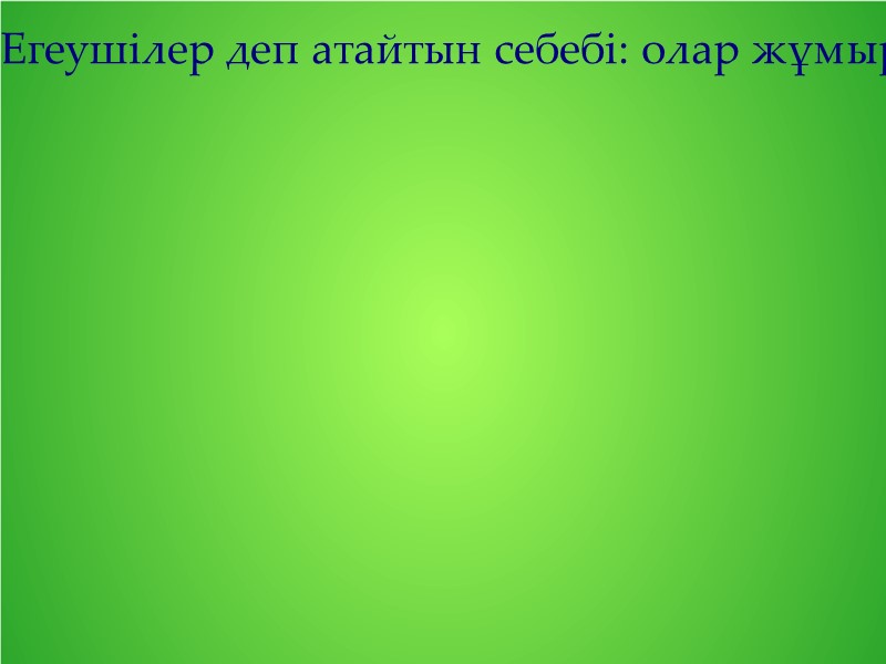 Егеушілер деп атайтын себебі: олар жұмыртқалар кезде өсімдік сабағын жұмыртқа қынабымен егеп теседі де,